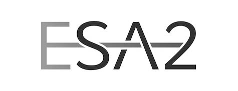 FS-Digital-Marketing-Strategy-ESA2-Logo